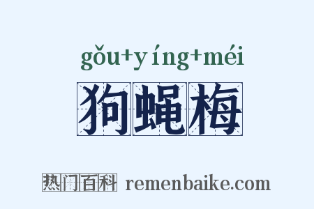 狗蝇梅是什么意思的图片